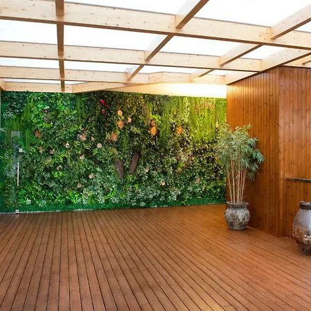 Cristal Vieira & فندق